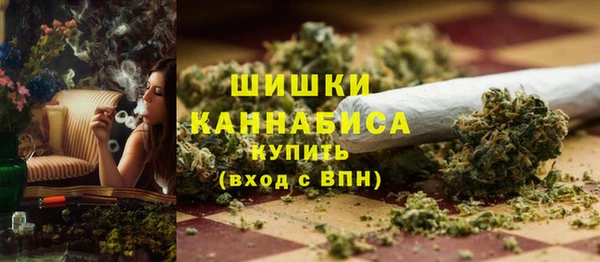 амф Семилуки
