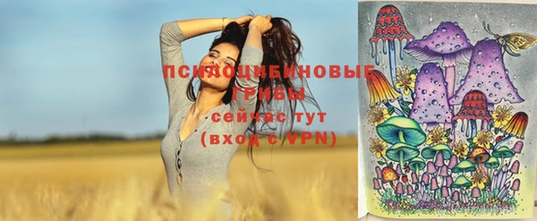 Альфа ПВП Семёнов