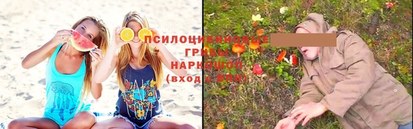 Альфа ПВП Семёнов