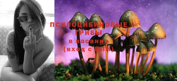 амф Семилуки